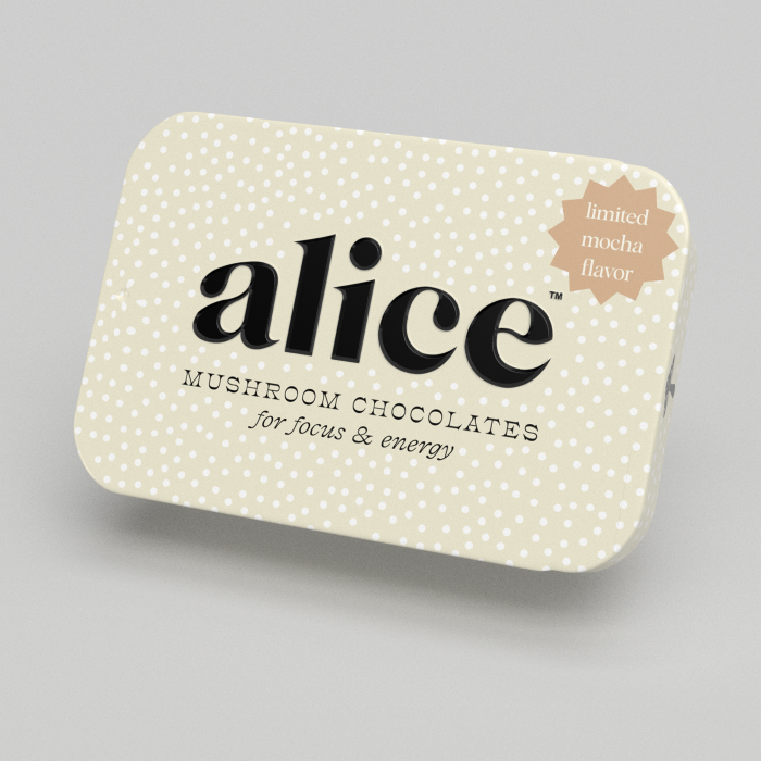 17-AliceTinHoliday_BS