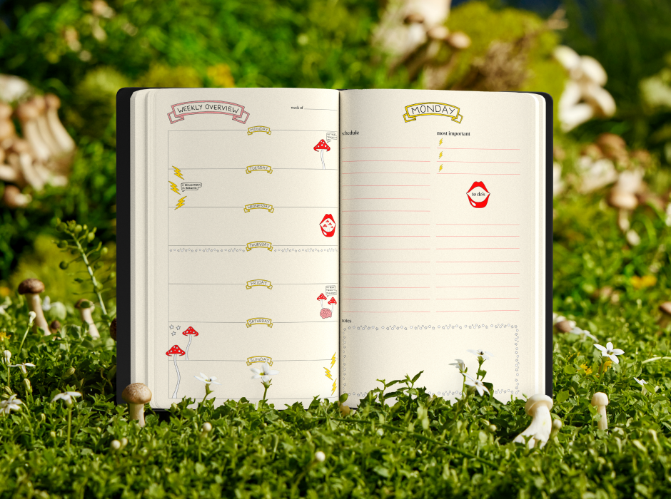26-HicksJournalOpenGrass