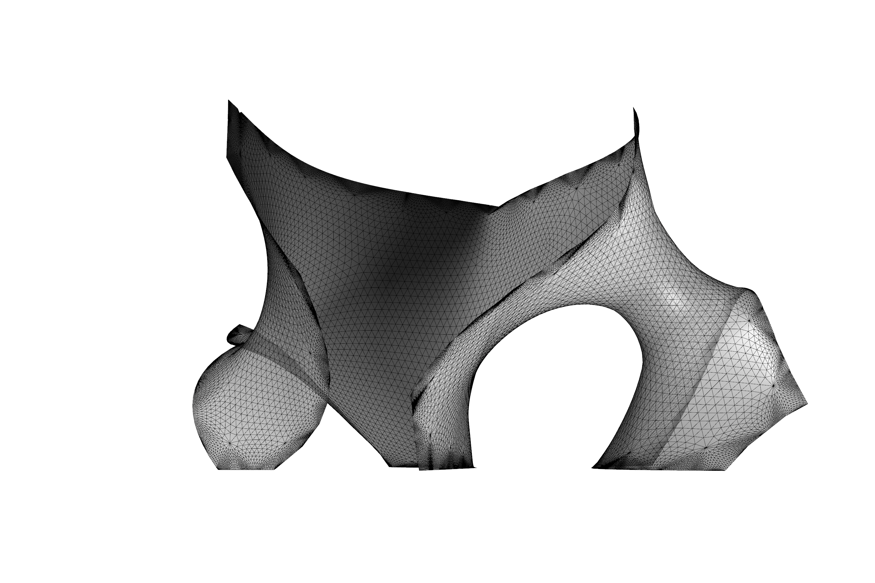 Surface Geometry
